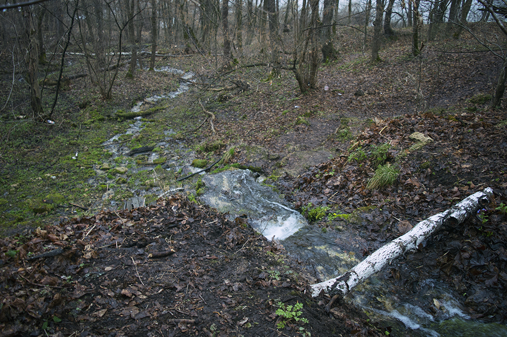 traveltea rodnikovaya voda фото