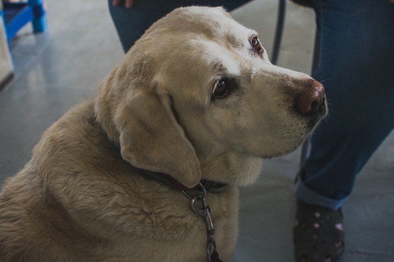 Мастерская Круг фото