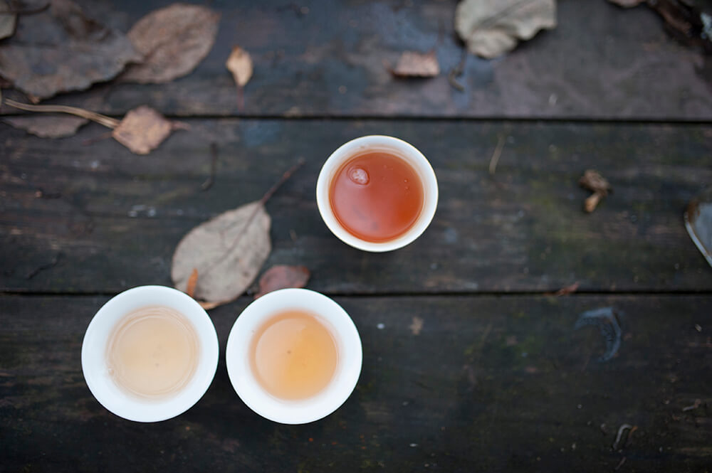 Шудайзцы Шэн пуэр купить фото