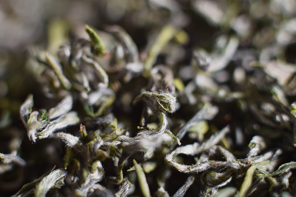 Bi Lo Chun Tea leaves