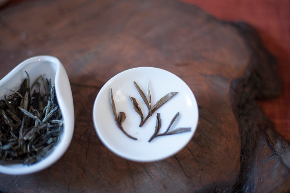 Бай Мудань Белый Пион 2012 год купить фото