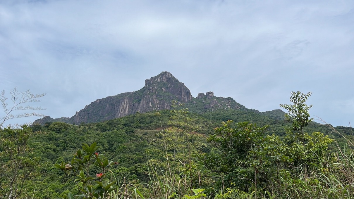 Гора Фэнняоцзи