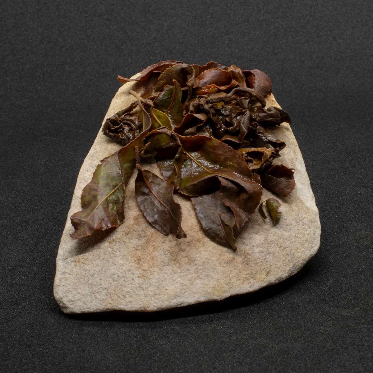 Лишань Габа 3 (1)