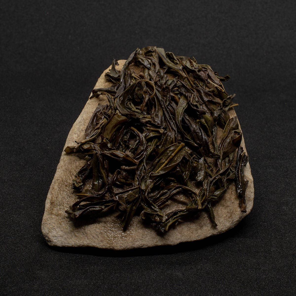 image_compressor_6877d024903a1