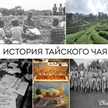 История Тайского чая