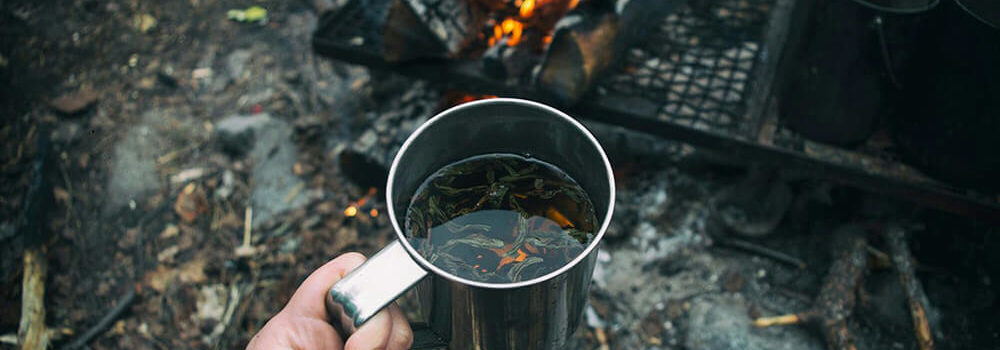 Чай как путешествие во времени