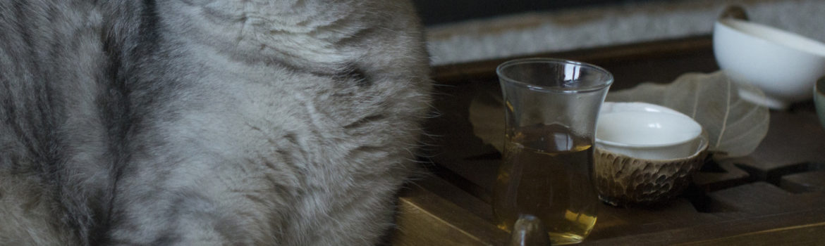 «Так себе чаек»… Как дать чаю второй шанс?