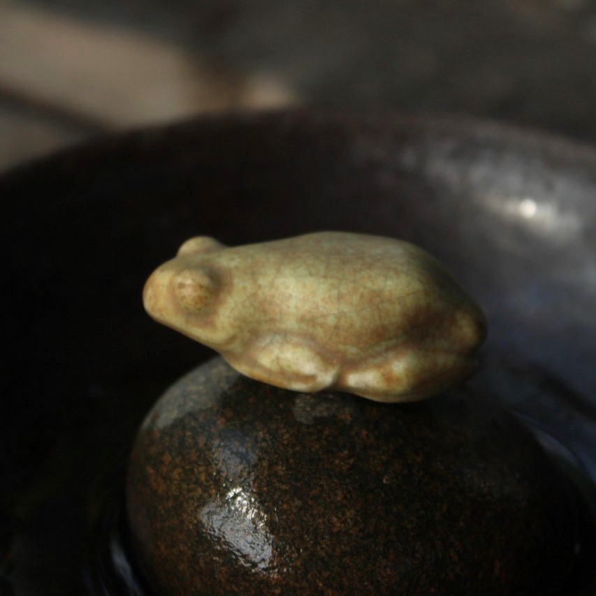 photo_5350731791809506678_y